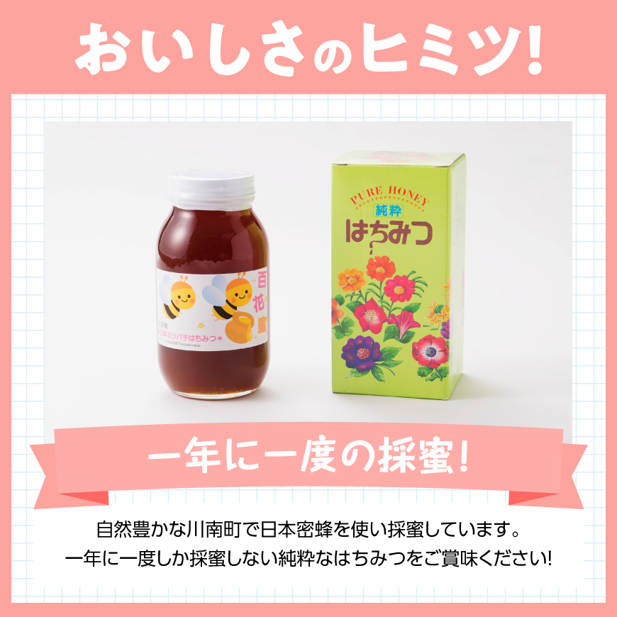 【内容量が選べる】純粋はちみつ（百花蜜）500g～1kg 日本蜜蜂 コーヒーに入れる お菓子作り 九州 おうち時間 ハチミツ 送料無料 宮崎県 川南町